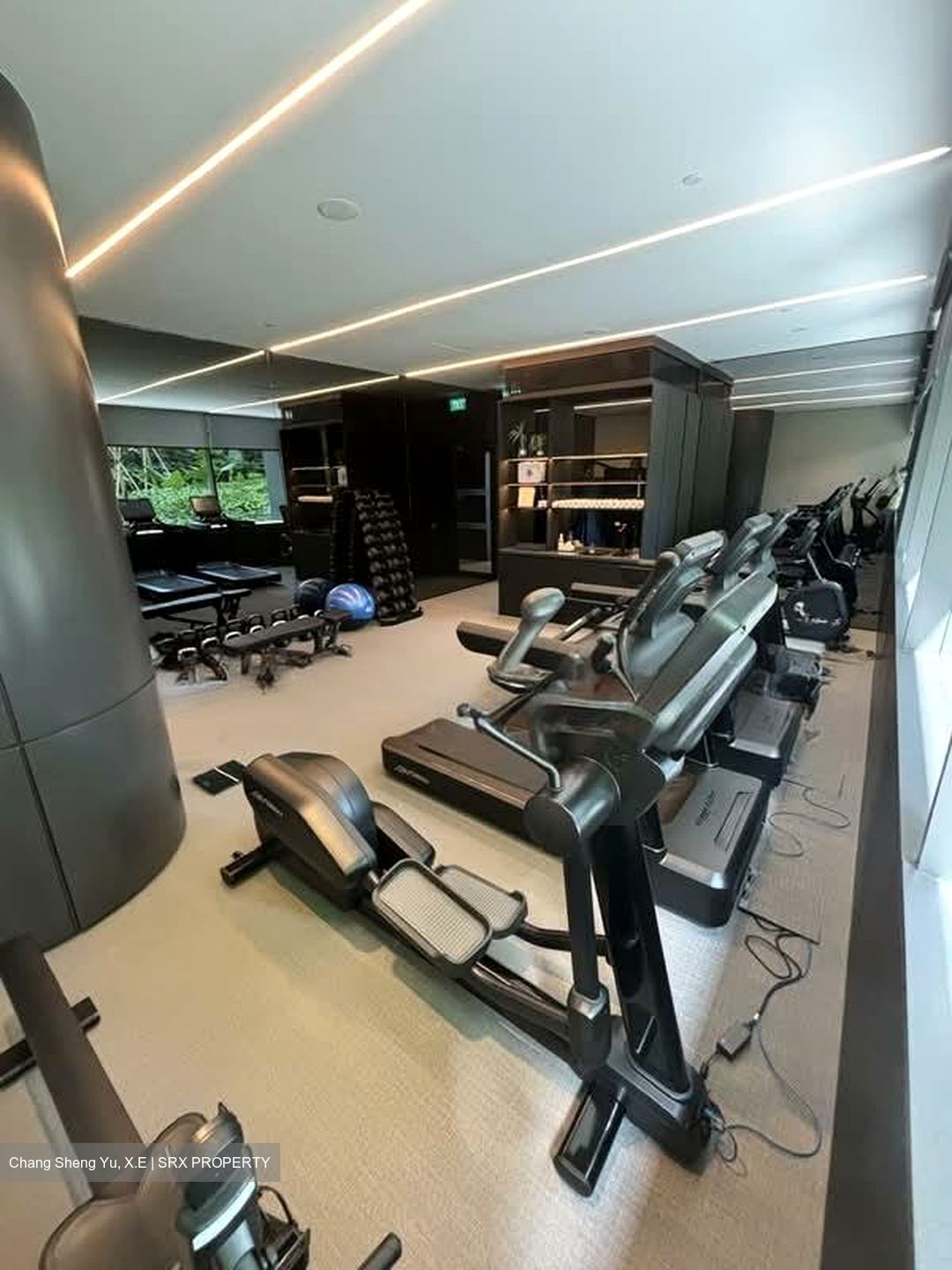 Cuscaden Reserve (D10), Condominium #560549621